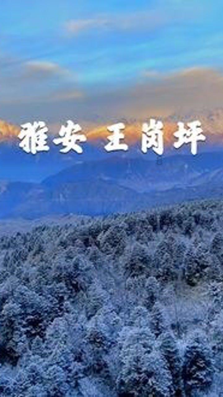北疆边陲的俄罗斯族村:俄罗斯女孩远嫁中国,村民高鼻梁蓝眼睛